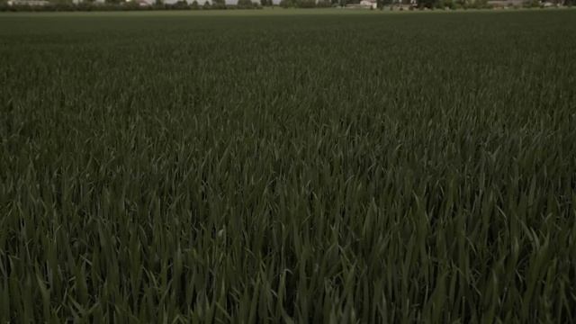 Estcoy-8. Seni rääkimata lugu Eesti üksusest Afganistanis | Levila смотреть онлайн