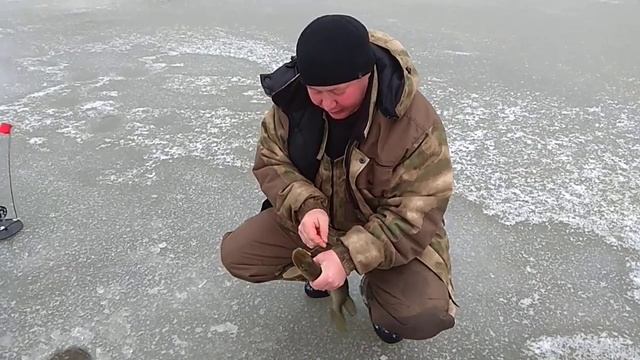 Раскуиха. Ловля щуки на гольяна.. смотреть онлайн