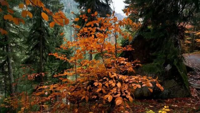 Так ты узнаешь, какой дух живет в тебе. Преподобный Силуан Афонский. смотреть онлайн