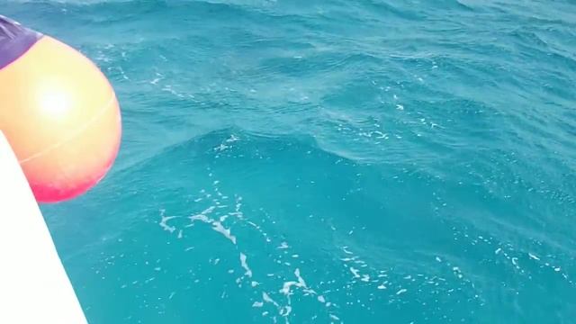 красное море . хургада смотреть онлайн