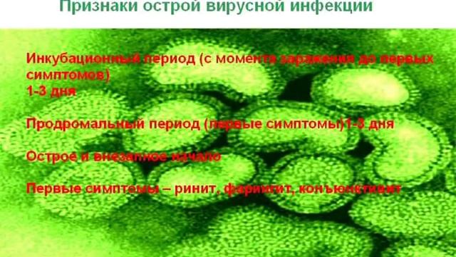 как отличить вирусную инфекцию от бактериальной смотреть онлайн