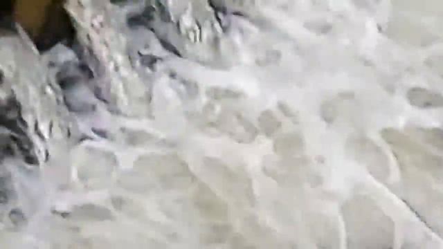 Сосновый бор 2018 смотреть онлайн