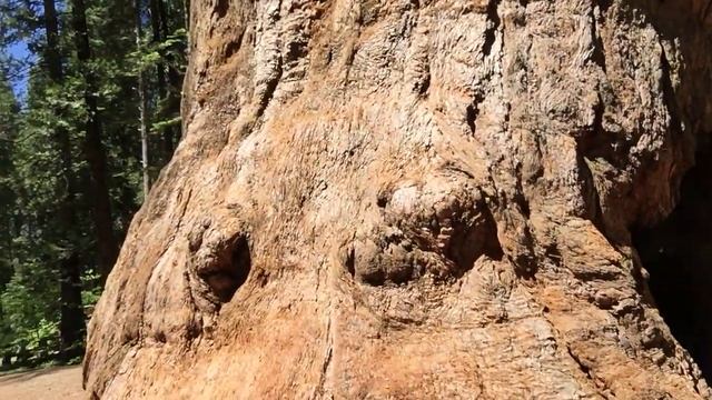 Вершки и корешки смотреть онлайн