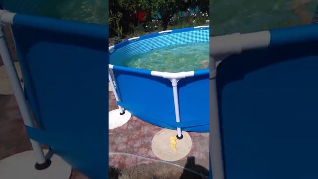 12 июня 2020 г.цветение пионов смотреть онлайн