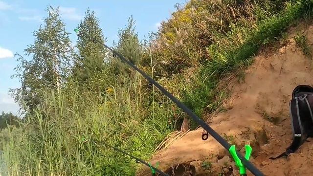 Рыбалка в Московской области. Есть ли клёв? смотреть онлайн