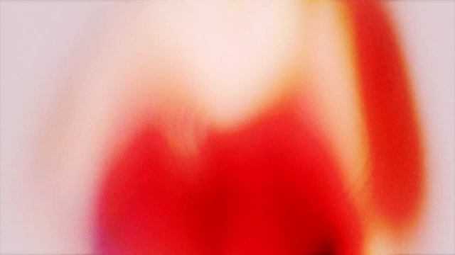WHOLE LOTTA NOTHIN (SHORT VISUAL) смотреть онлайн