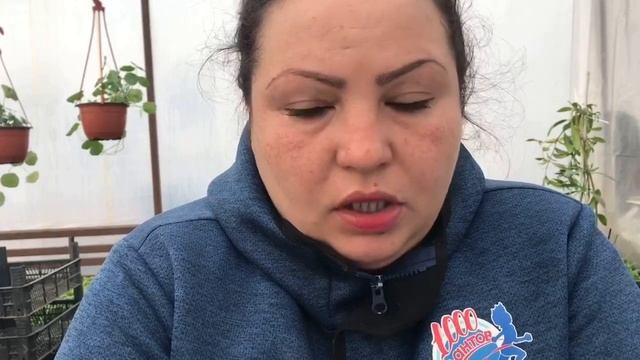 Защита растений | удобрения для растений | советы | рассада