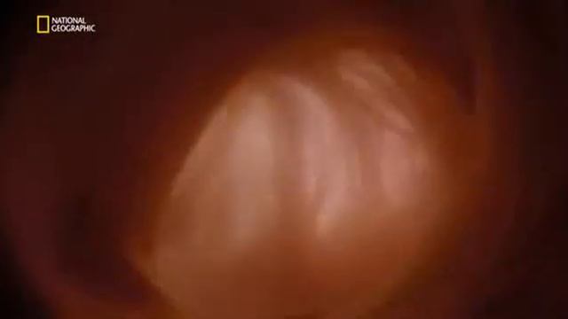 От колыбели до могилы 2016