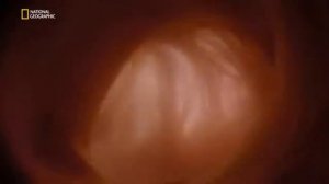 От колыбели до могилы 2016