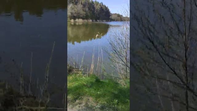 EXTREME Forest RIDING on EUC and E-SCOOTER XIAOMI смотреть онлайн