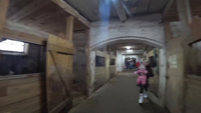 Конезавод в деревне Медведки .Кострома.Основанный при Александре 3. Можно покататься и отдохнуть. смотреть онлайн