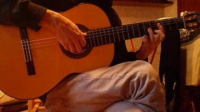 Francisco Tarrega - Adelita (Mazurka) смотреть онлайн