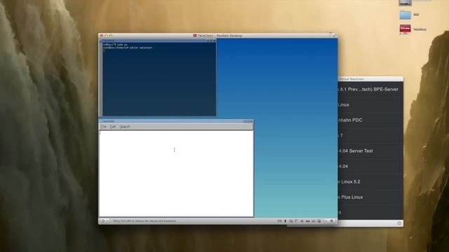 Thin Client with Tiny Core Linux for RDC смотреть онлайн