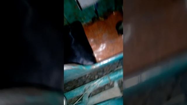 МУЗЫКА В УРАЛЕ ВАЛИТ!!!! смотреть онлайн