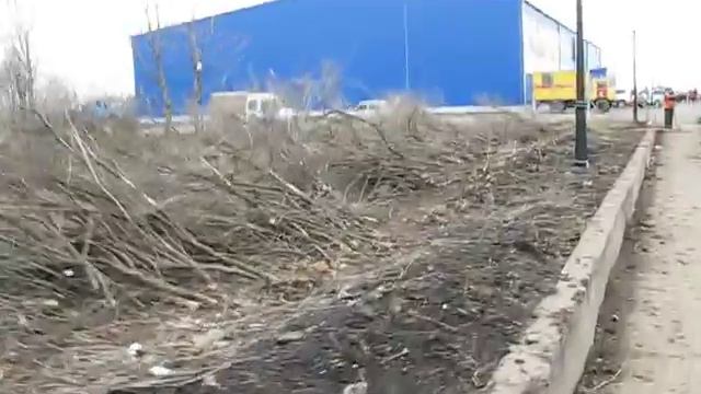 Парк Победы, вырубка кустарника смотреть онлайн