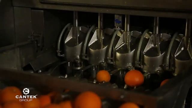 Хранение залог успеха цитрусовые смотреть онлайн