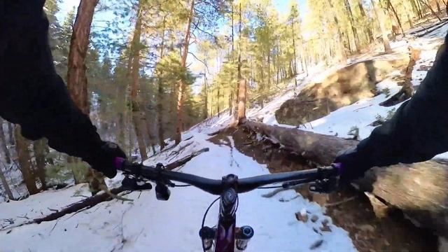 Last Windsor run for 2023 смотреть онлайн