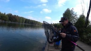 КАК и на ЧТО ловить форель осенью / Чемпион ДЕЛИТСЯ ОПЫТОМ