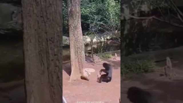 ОРУ!!! смотреть онлайн