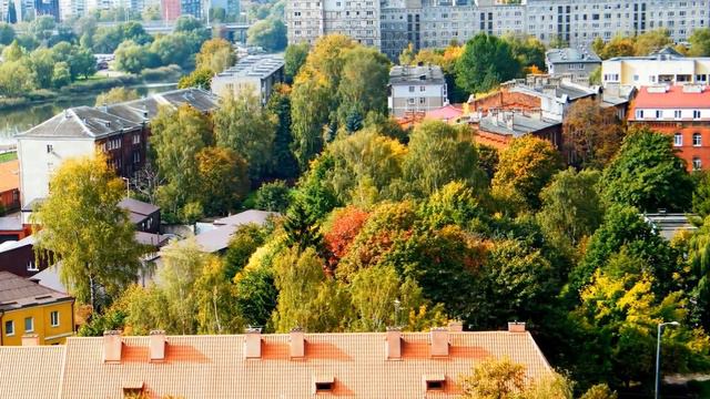 Калининград Краски осени смотреть онлайн