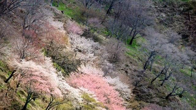 Адажио. Adagio смотреть онлайн