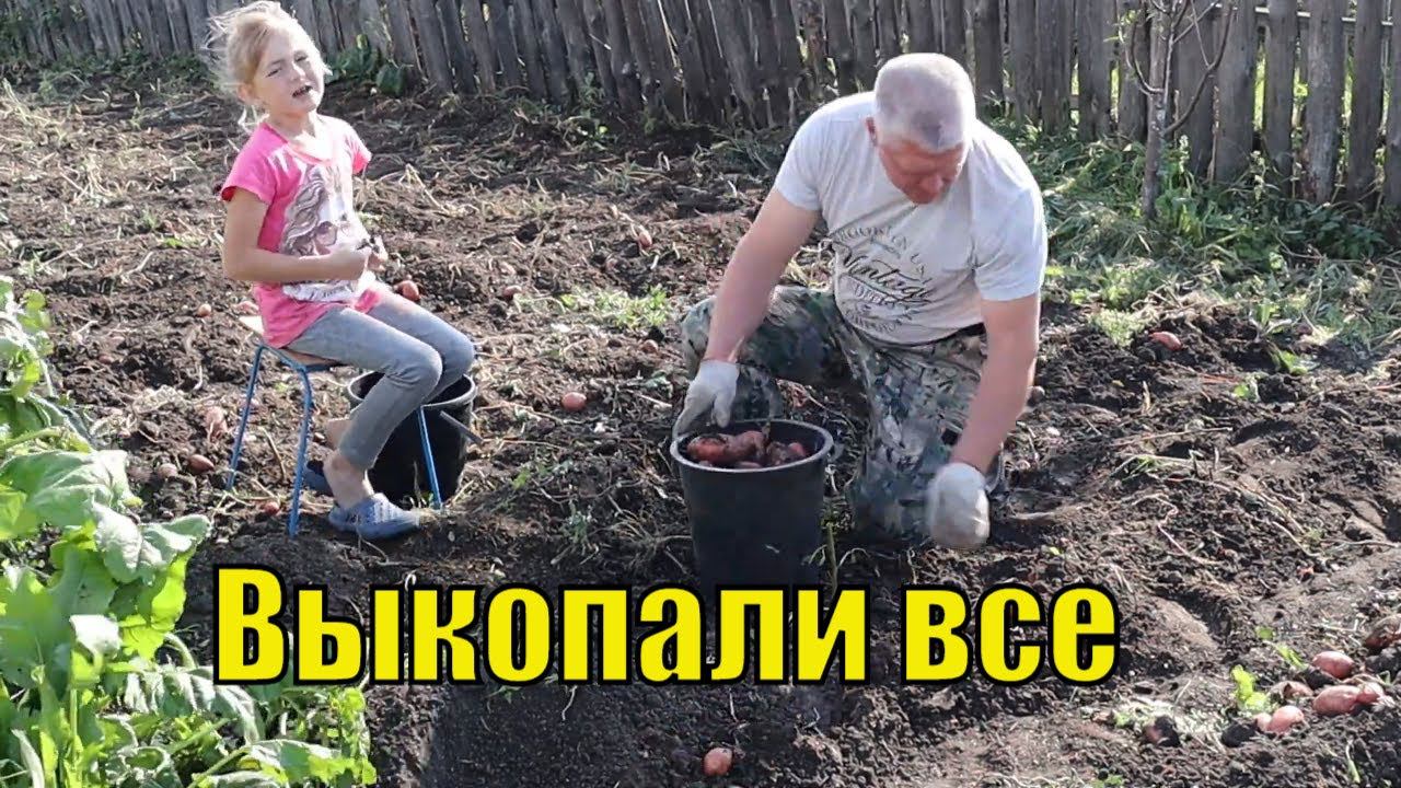 Крутые огородники копают картошку Деревенская жизнь смотреть онлайн
