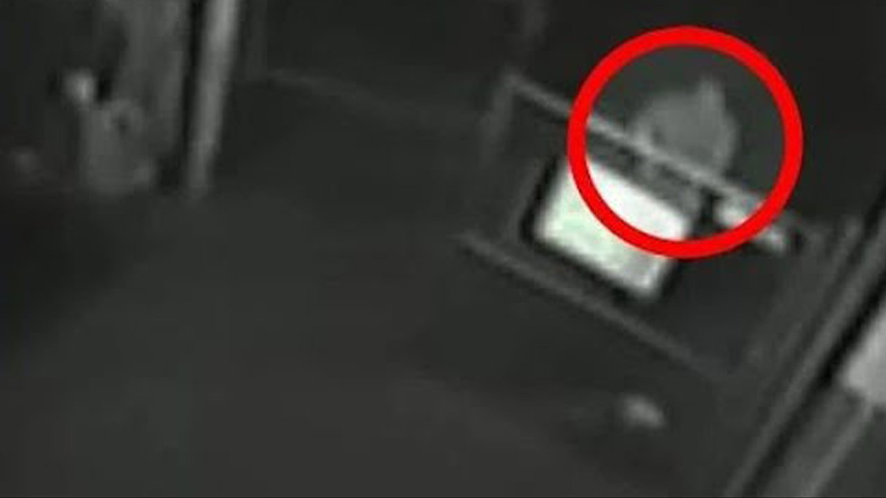 5 ГРОМКИХ СЛУЧАЕВ ПОХИЩЕНИЯ ЛЮДЕЙ ИНОПЛАНЕТЯНАМИ С ФОТО И ВИДЕО ПОДТВЕРЖДЕНИЯМИ смотреть онлайн