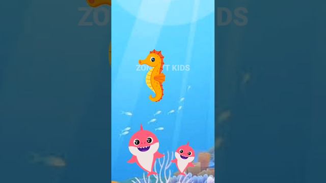 Ocean colors fish Dance Dolphin octopus Baby Shark doo doo doo kids Song video смотреть онлайн