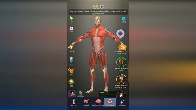 ЭВОЛЮЦИЯ ОБЗОР СИМУЛЯТОР СОЗДАНИЯ ЧЕЛОВЕКА ИЗ КОСТЕЙ И ОРГАНОВ В ИГРЕ Idle Human смотреть онлайн