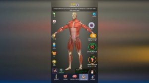 ЭВОЛЮЦИЯ ОБЗОР СИМУЛЯТОР СОЗДАНИЯ ЧЕЛОВЕКА ИЗ КОСТЕЙ И ОРГАНОВ  В ИГРЕ Idle Human
