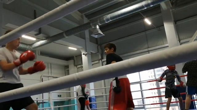 Тренировка-Кристалл-10 октября 2022 смотреть онлайн