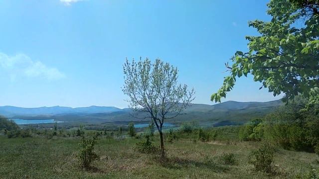 A trip to the mountains. Wild mountainous peonies. May. Nature and music. смотреть онлайн