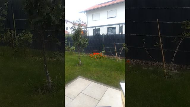 брат почему ты душою страдаешь смотреть онлайн