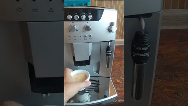 DeLonghi ESAM 04.110