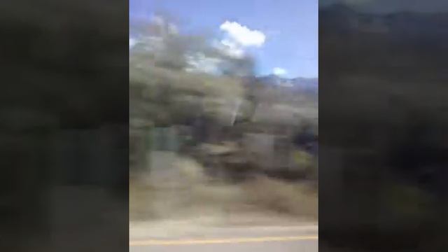 Рассказы гида! смотреть онлайн