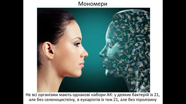 9 клас 20 Синтетичні процеси смотреть онлайн