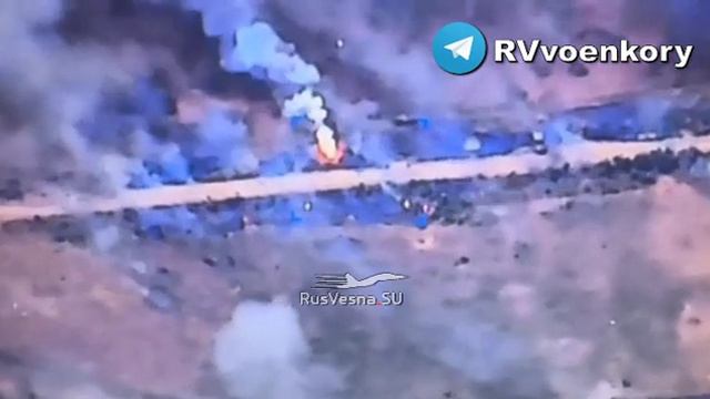 свинорез Работино конец июня 2024 смотреть онлайн