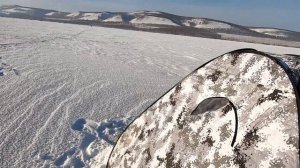 Рыбалка с Друзьями на Берёзовской ГРЭС! Шарыпово, КАТЭК - ТРУБА!