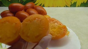 ТОМАТ КЕНИГСБЕРГ. ДЕГУСТАЦИЯ. Ольга Чернова.