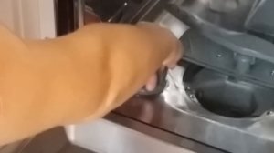 Посудомоечная машина Gorenje: обзор и уход