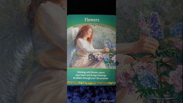 Flowers?️Life Purpose Oracle card meaning смотреть онлайн