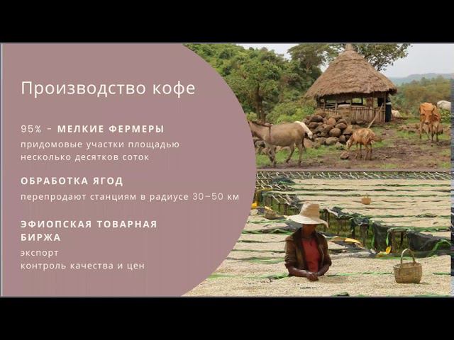 Кофе из Африки вебинар смотреть онлайн
