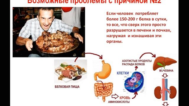 Почему человек ест? Пищевая ценность продуктов