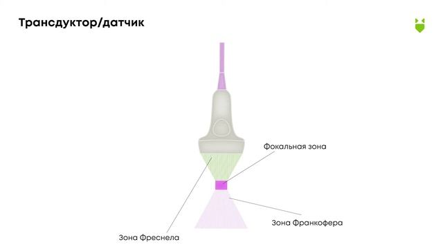 Урок 2. Ультразвук, его свойства. Трансдуктор/датчик: принцип работы, подготовка. Виды трансдукторо смотреть онлайн