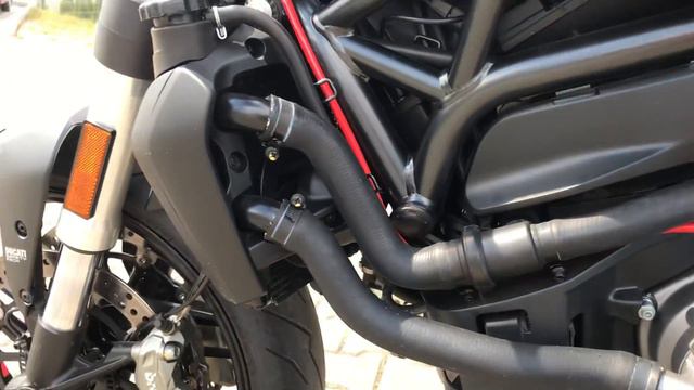 Ducati Monster 821 Stealth 2020 Clear clutch, Termignoni смотреть онлайн
