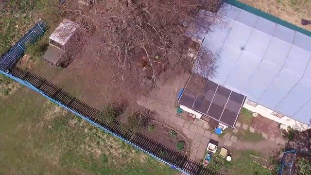 Харино смотреть онлайн