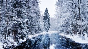 зимняя рыбалка на озере Волоярви