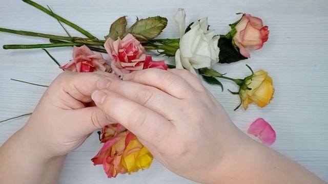 Мк Холодный фарфор и эфирное масло смотреть онлайн