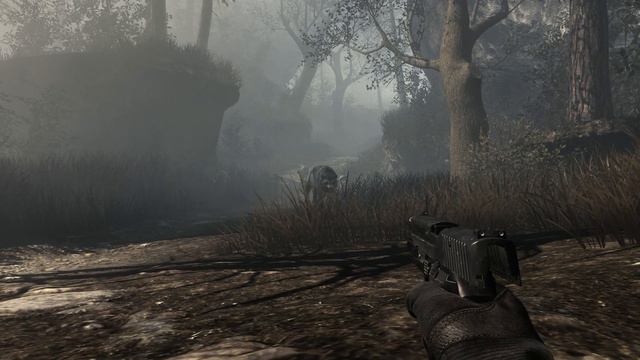 Call of Duty Ghosts (Эпизод с волками) смотреть онлайн
