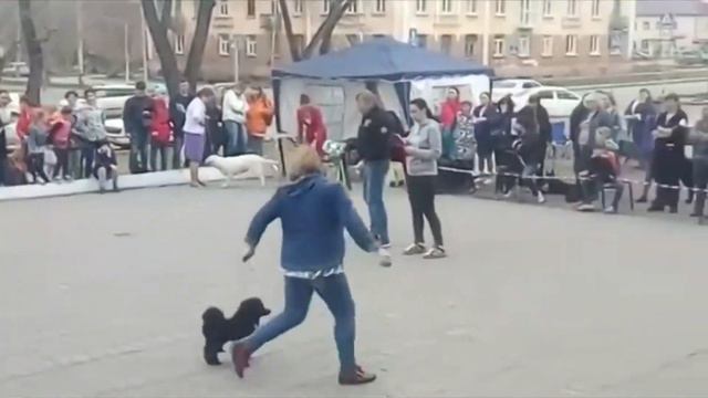30.04.18 Кемерово BIS baby смотреть онлайн
